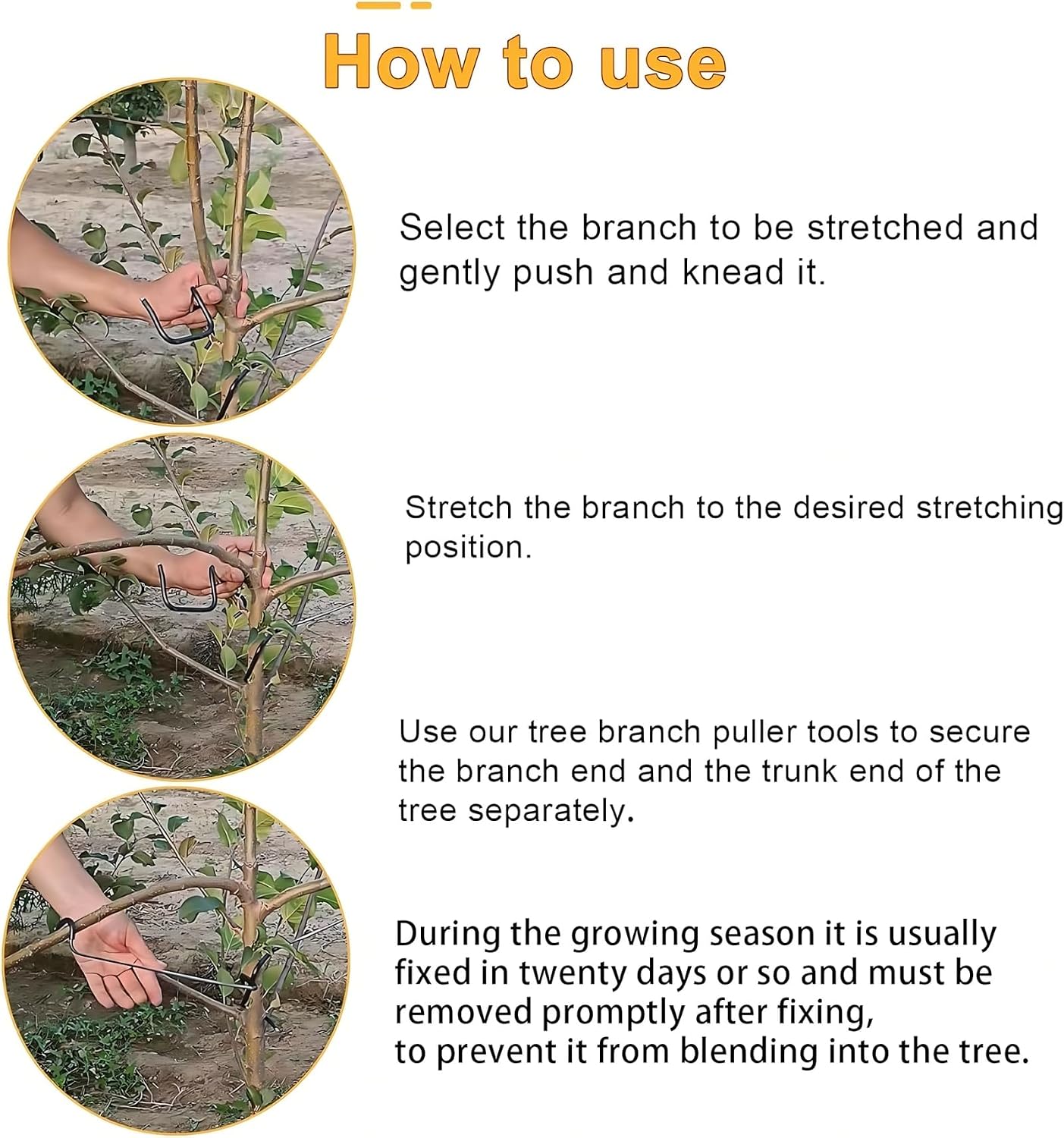 Penyangga Cabang Pohon Buah ya - Bonsai Gardener ulasan dan harga
