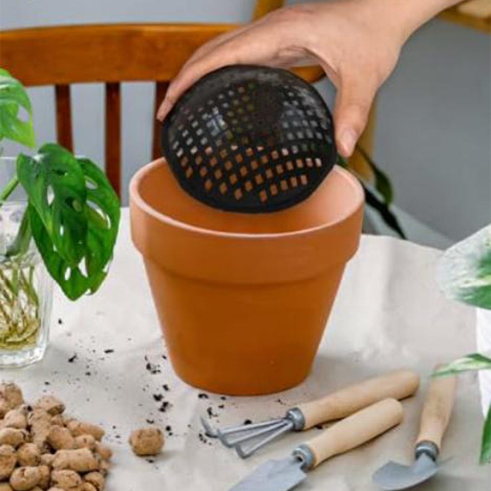 20/30 Buah Bantalan Jaring Pot - Bonsai Garden Decor ulasan dan harga