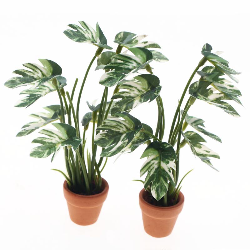 Baru.1PC 1/12 Rumah Boneka Sim - Bonsai Garden Decor ulasan dan harga